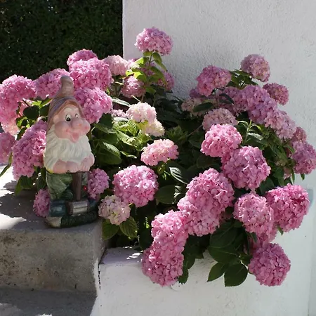 Adria 3* סטוברץ